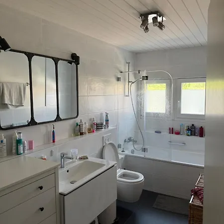 Fully Furnished Maison Villageoise 5mins From Nyon Duillier